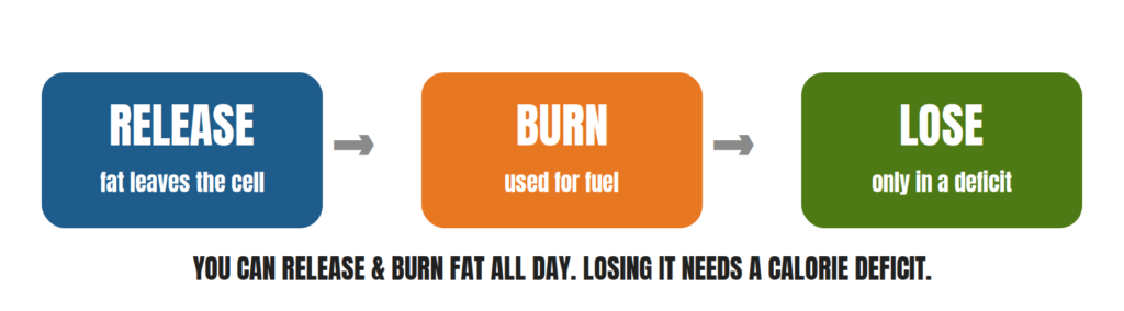 Infographic showing you can burn fat all day, but losing it needs a calorie deficit