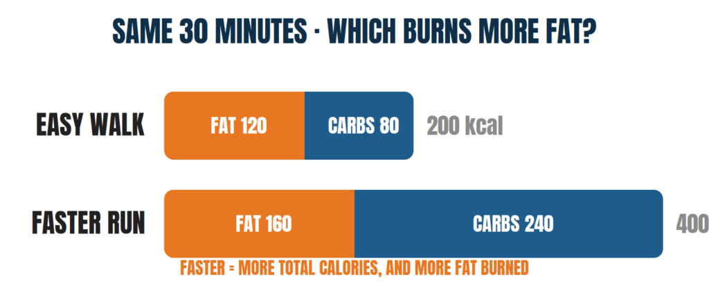 which burns more fat Burning Fat vs Losing Fat