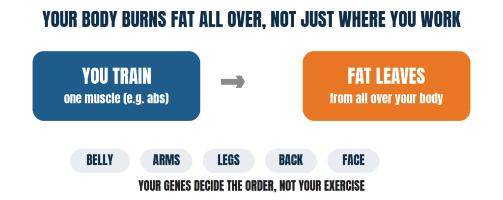 Your body burns fat all over, not just where you work. Genes decide the order, not the exercise.