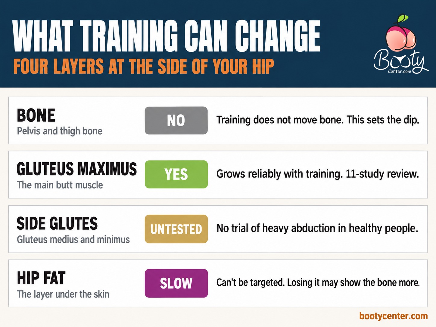 What training can and cannot change about hip dips: bone no, gluteus maximus yes, side glutes untested, hip fat slow and not targetable