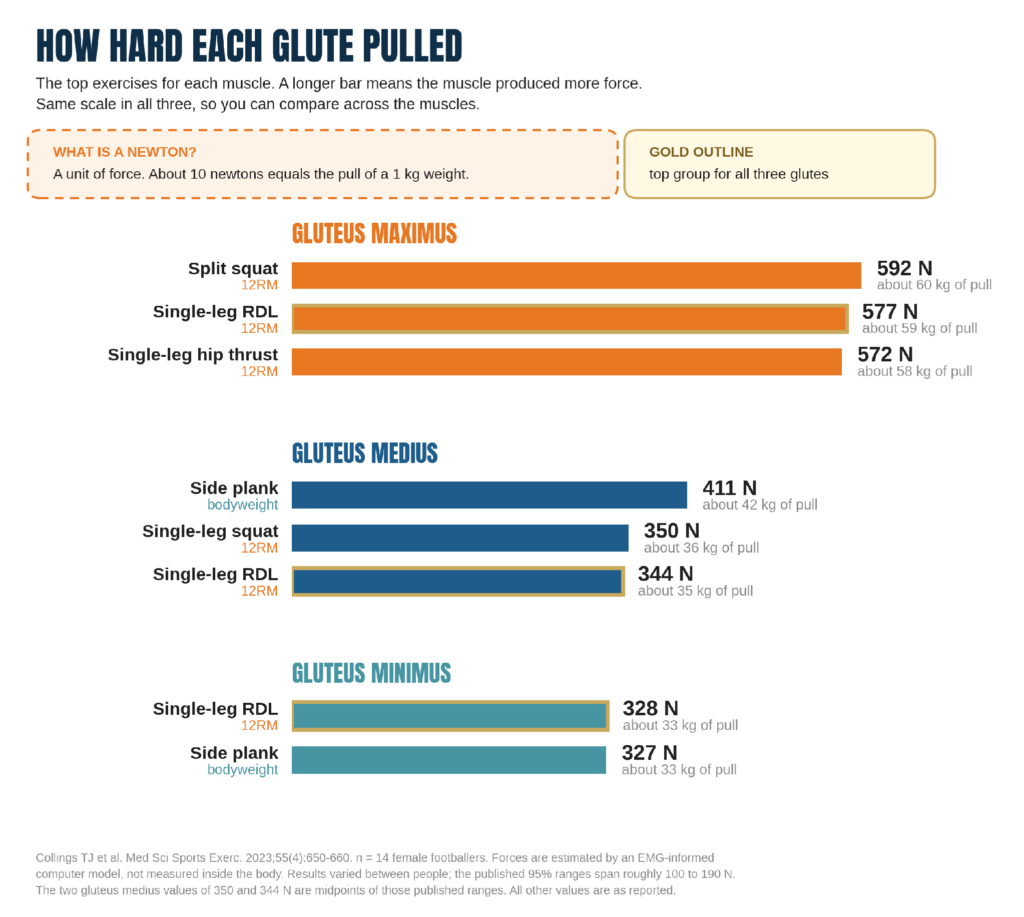 how hard each glute pulled
