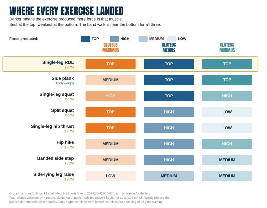 Where each exercise landed for each muscle. Rebuilt by Booty Center from the published rankings.