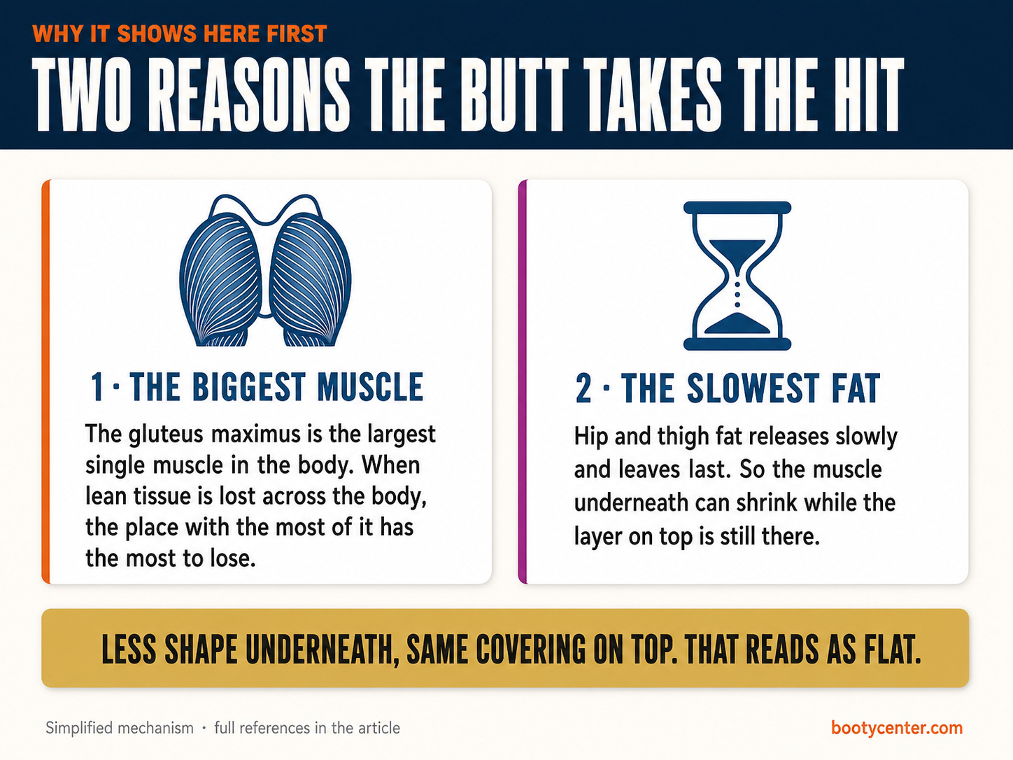 Two cards explaining that the gluteus maximus is the largest muscle and that hip and thigh fat leaves last