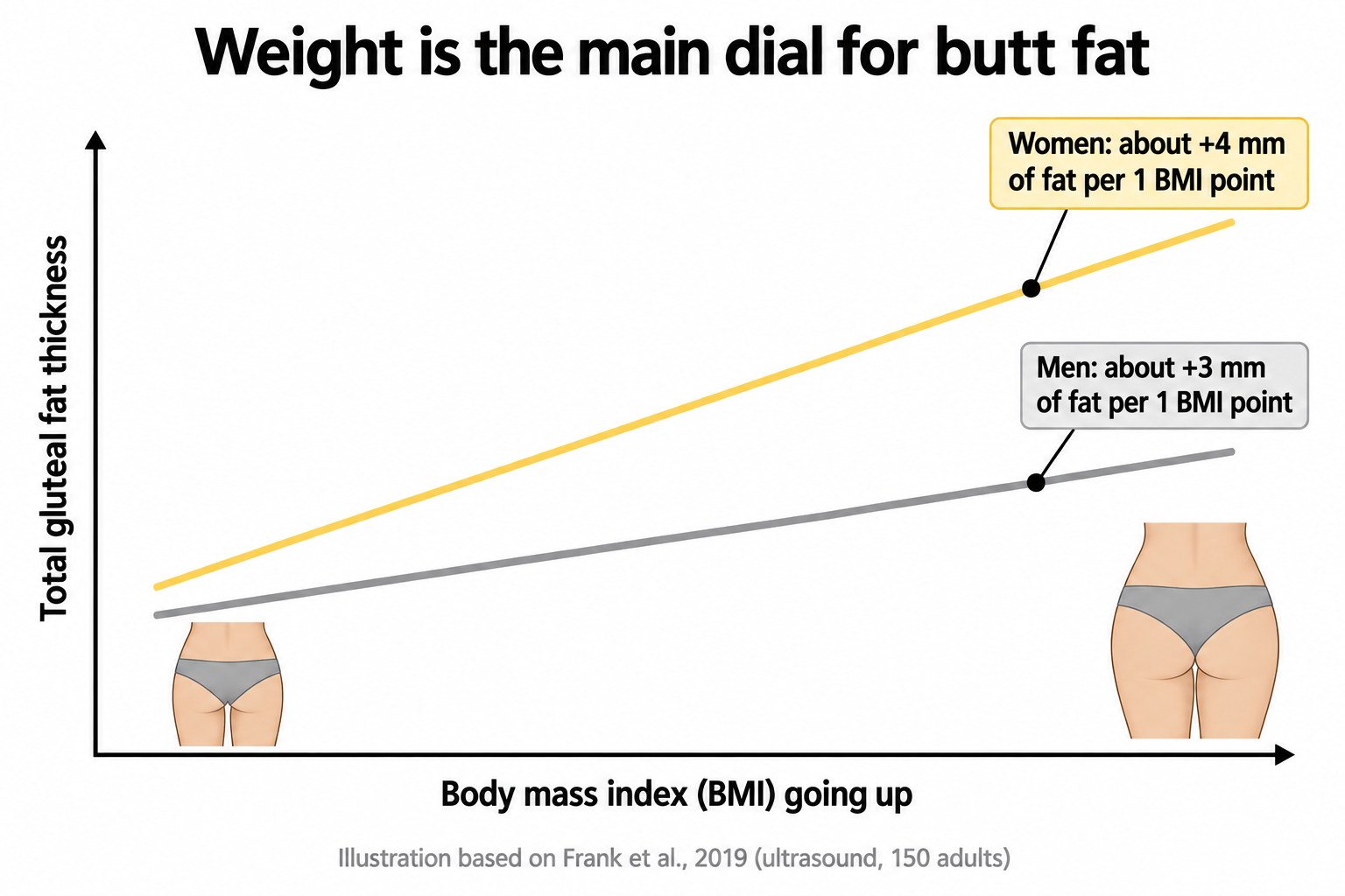 Line chart showing gluteal fat thickness increases with body mass index, more steeply in women than in men.