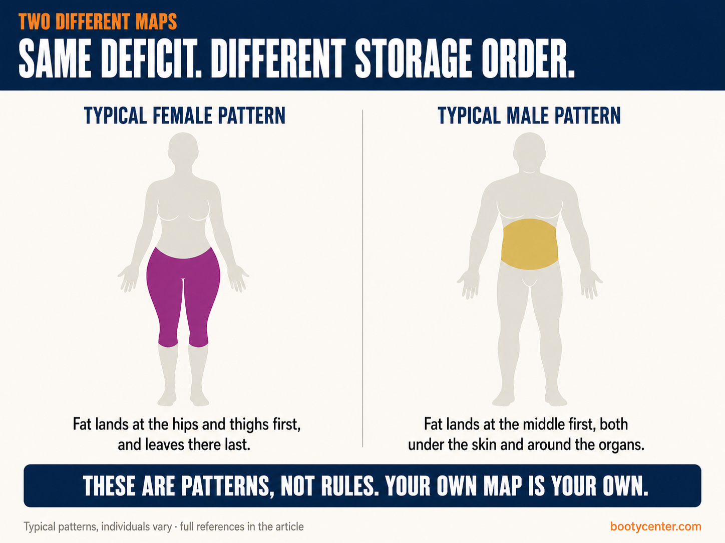 Schematic diagram comparing typical female fat storage at the hips and thighs with typical male storage at the abdomen
