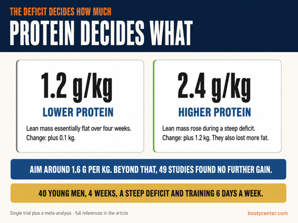 Two cards comparing 1.2 and 2.4 grams of protein per kilogram during a steep energy deficit