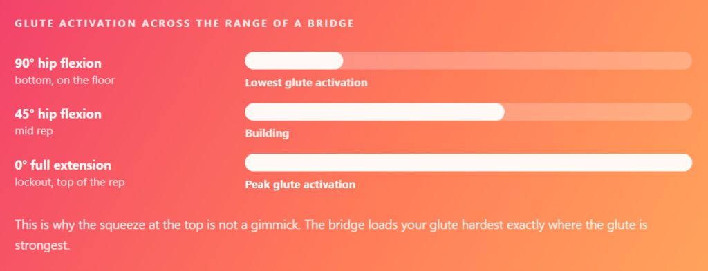 Glute activation across the range of a bridge
