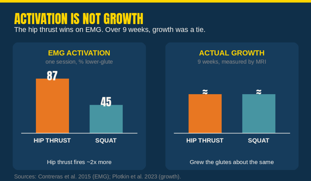 Infographic explaining that muscle activation is not the same as muscle growth