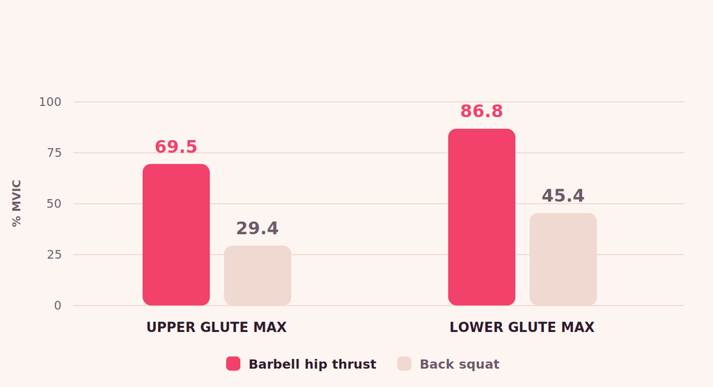 hip thrust vs squat